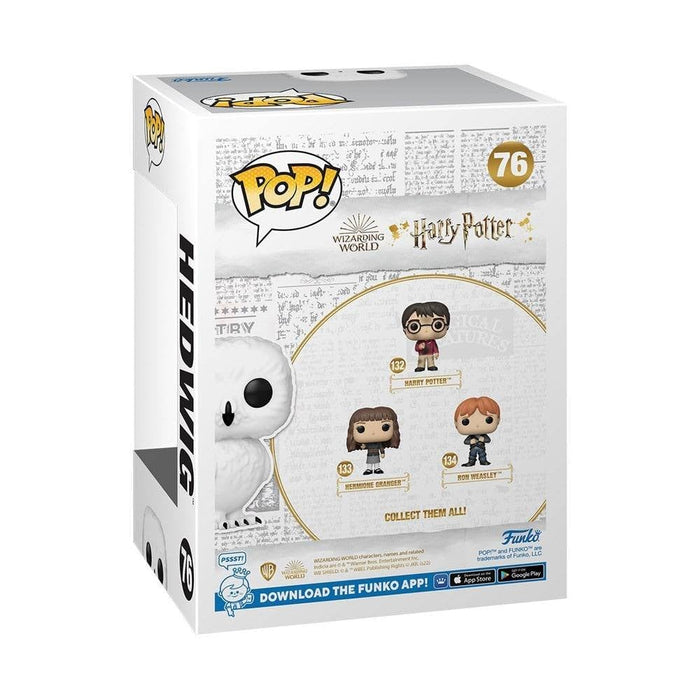 https://m.media-amazon.com/images/I/61foFBQaGEL.jpg