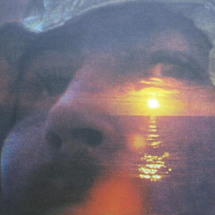 David Crosby - If I Could Only Remember My Name;