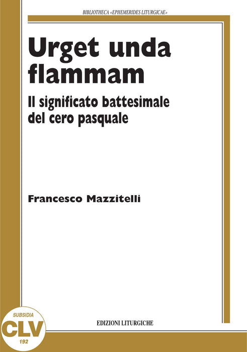 https://m.media-amazon.com/images/I/61g+1XOhDvL.jpg