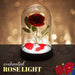 https://m.media-amazon.com/images/I/61k19wt9obL.jpg