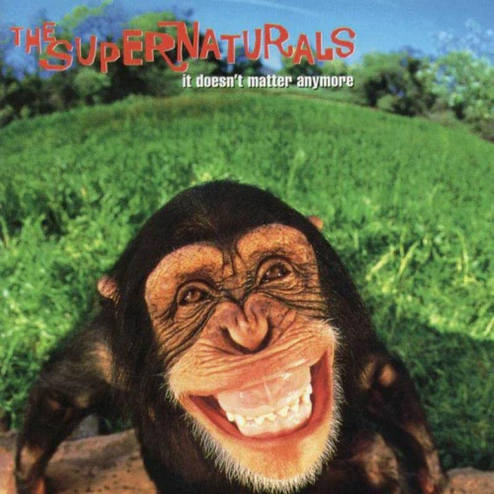 Supernaturals (The) - It Doesn't Matter Anymore;