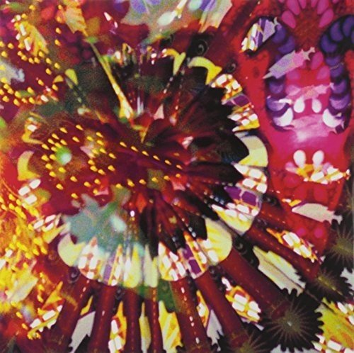 Caribou Vibration Ensemble - CVE Live 2011;