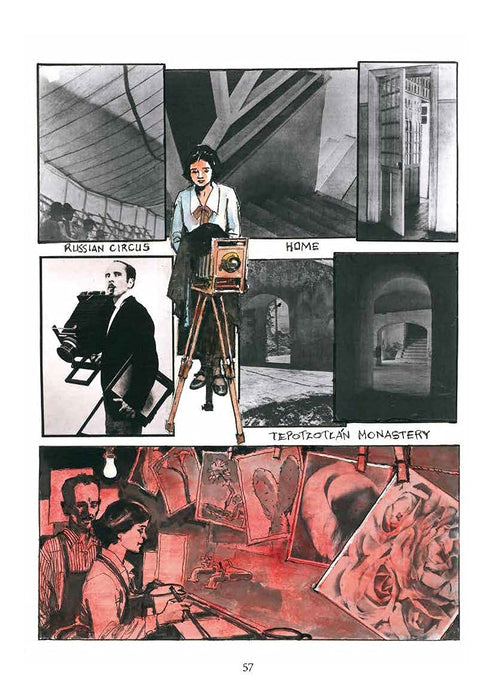 https://m.media-amazon.com/images/I/61kNZnhp8+L.jpg