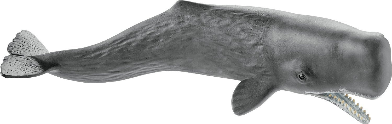 https://m.media-amazon.com/images/I/61lVm-wDhQL.jpg