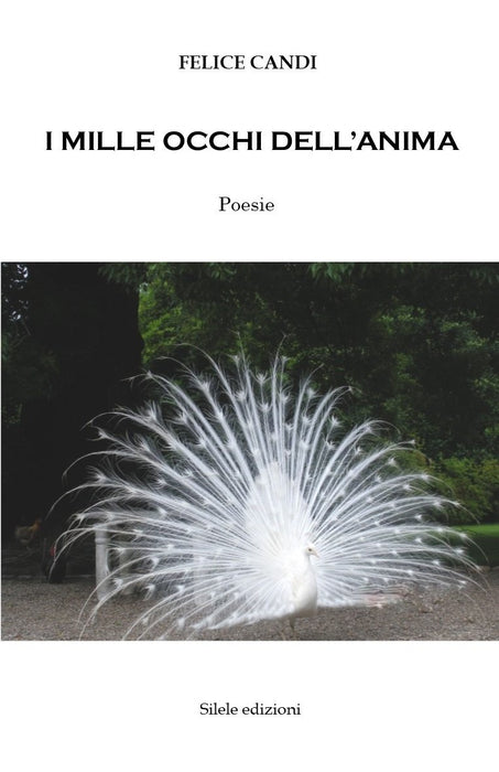 https://m.media-amazon.com/images/I/61ldLDdKknL.jpg
