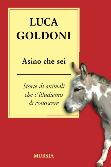https://m.media-amazon.com/images/I/61lkOE9oFiL.jpg