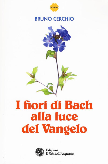 https://m.media-amazon.com/images/I/61m0yi2F6xL.jpg