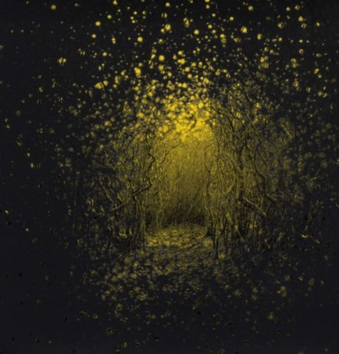 Antlers (The) - Burst Apart;