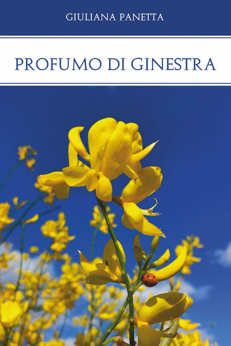 https://m.media-amazon.com/images/I/61qVbM2ehgL.jpg