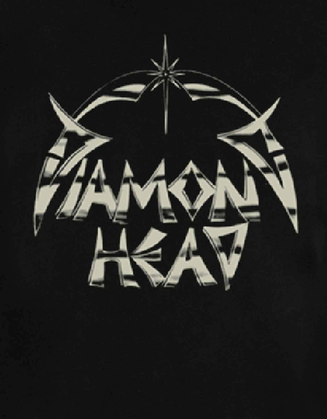 Diamond Head: Logo (T-Shirt Unisex Tg. M);