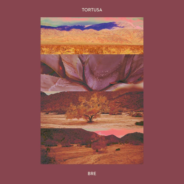 Tortusa - Bre;