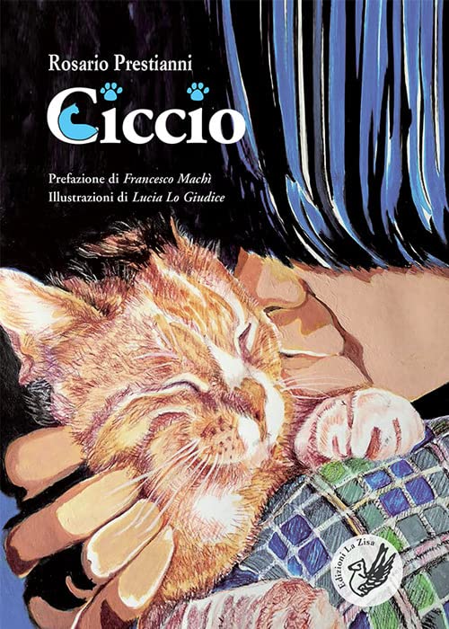 https://m.media-amazon.com/images/I/61rPmcrHjzL.jpg