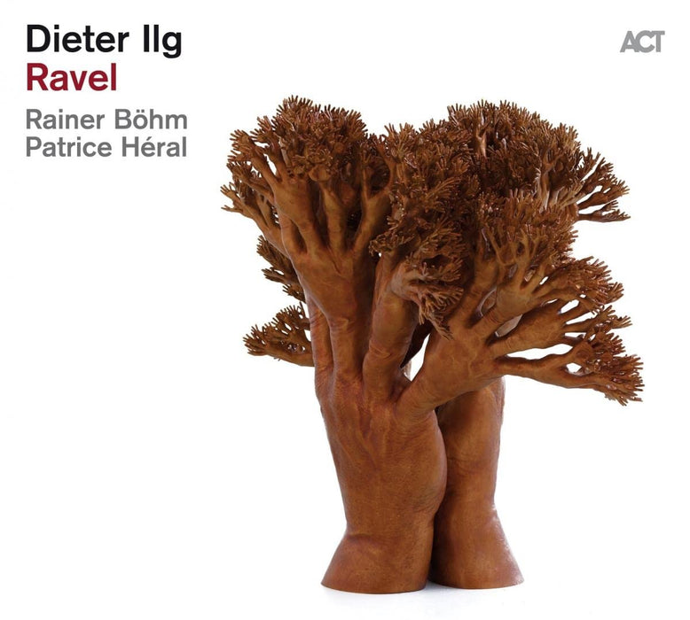 Ravel - Dieter Ilg;