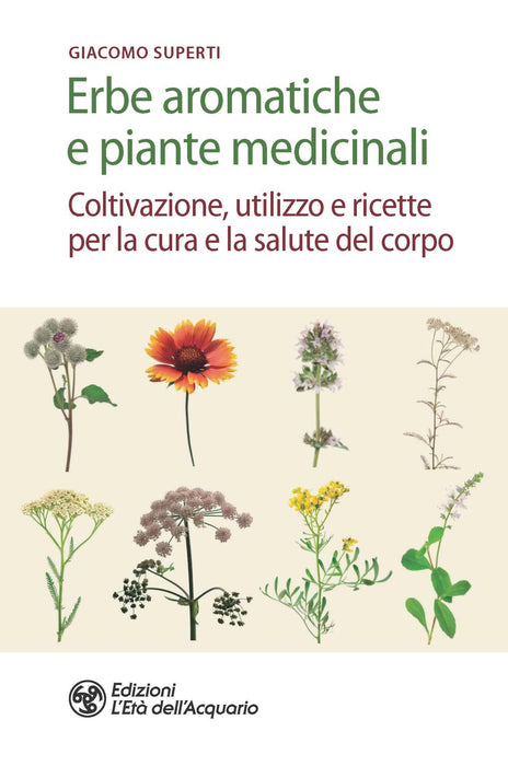 https://m.media-amazon.com/images/I/61tiUx0ZCXL.jpg