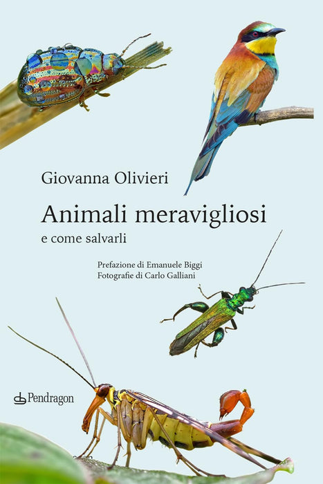 https://m.media-amazon.com/images/I/61tm0zYLFJL.jpg