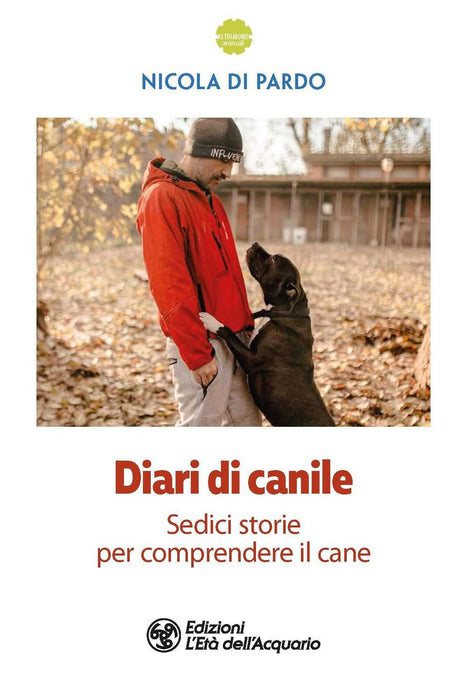 https://m.media-amazon.com/images/I/61ttNVhqkkL.jpg