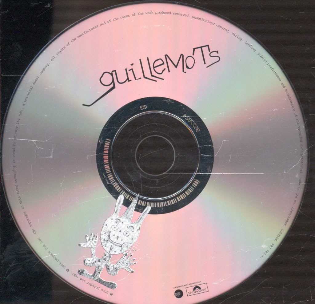 Guillemots - Through The Windowpane;