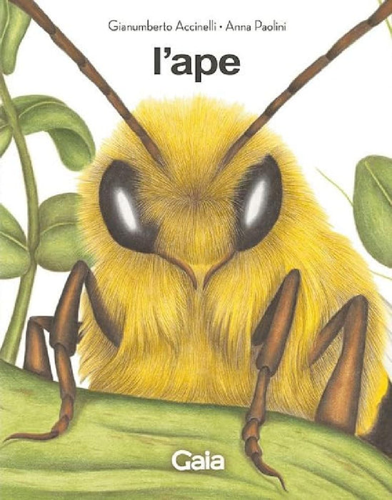 https://m.media-amazon.com/images/I/61vF3lnE6sL.jpg