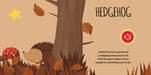 https://m.media-amazon.com/images/I/61vHgqkD8yL.jpg