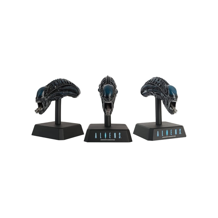 https://m.media-amazon.com/images/I/61viJH-NG3L.jpg