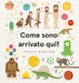https://m.media-amazon.com/images/I/61vvZXX1r8L.jpg