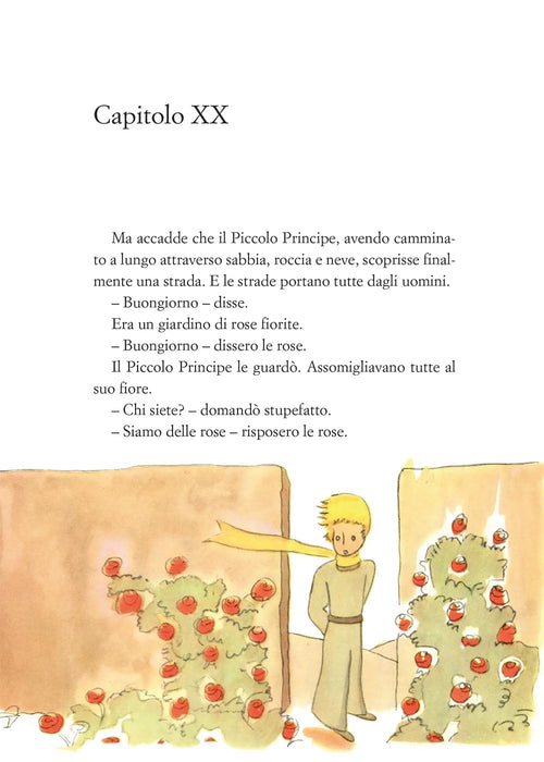 https://m.media-amazon.com/images/I/61w-e3Z8fcL.jpg