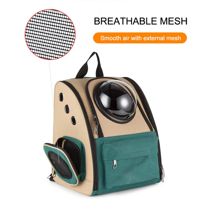 https://m.media-amazon.com/images/I/61w0ZhXmhaL.jpg