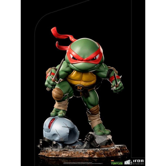 https://m.media-amazon.com/images/I/61w8iri9nXL.jpg