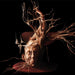 https://m.media-amazon.com/images/I/61xmiRwMIdL.jpg