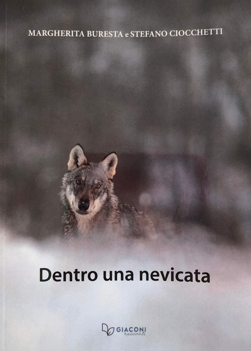 https://m.media-amazon.com/images/I/61yTVqOdEdL.jpg