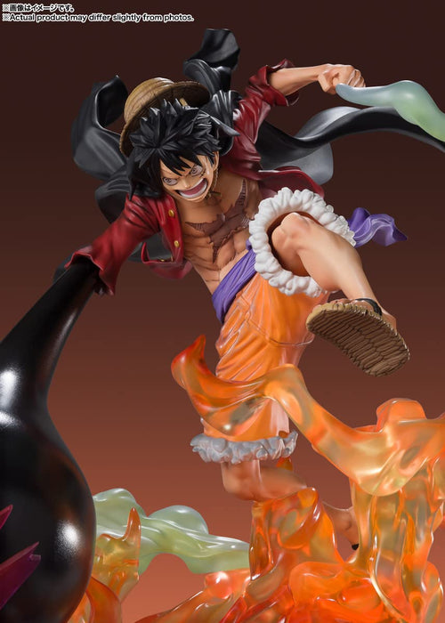 https://m.media-amazon.com/images/I/61z9LbrpSWL.jpg
