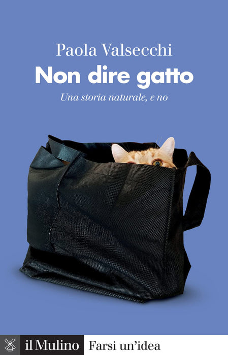 https://m.media-amazon.com/images/I/71-4-lHIjCL.jpg