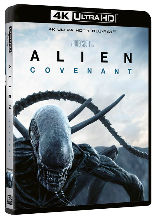 https://m.media-amazon.com/images/I/71-Bh166EFL.jpg