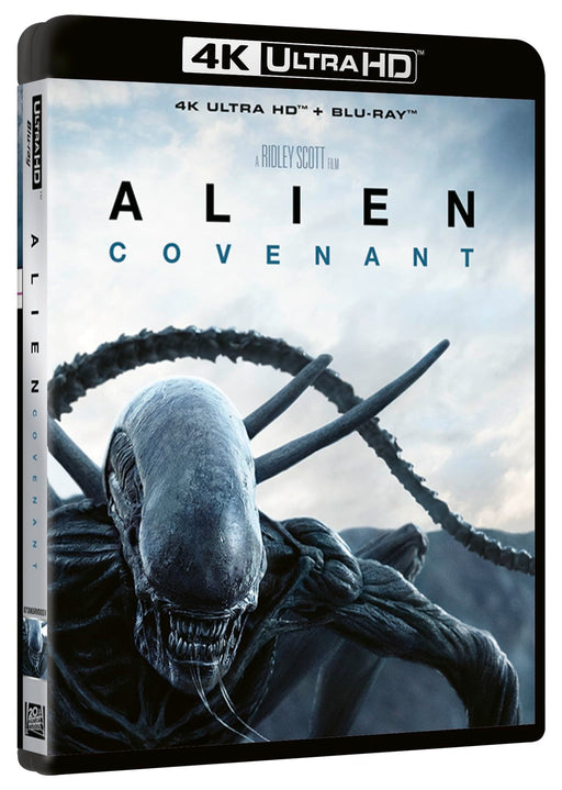 https://m.media-amazon.com/images/I/71-Bh166EFL.jpg