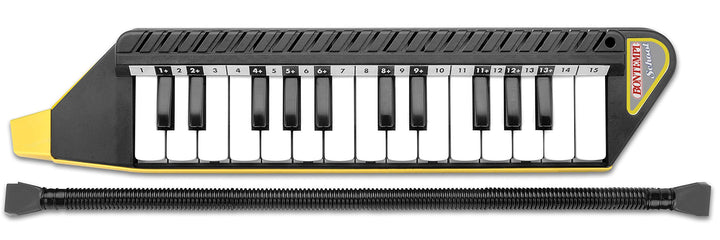 Bontempi 33 4262 - Clavietta 25 Tasti Con Valigetta E Metodo Musicale;