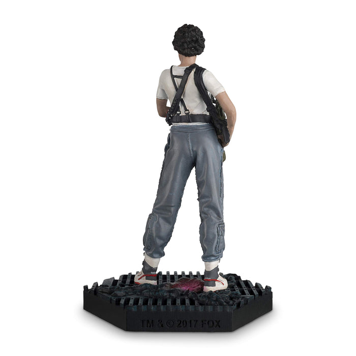 https://m.media-amazon.com/images/I/710p8Ji8NaL.jpg