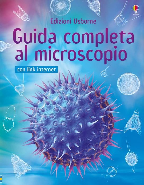 https://m.media-amazon.com/images/I/710yeuiuOsL.jpg