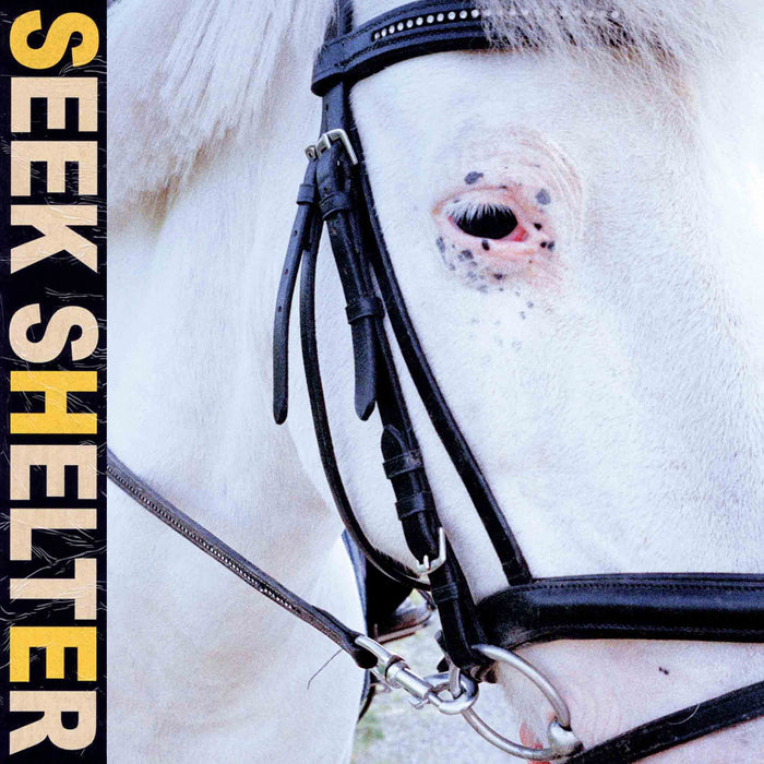 Iceage - Seek Shelter;