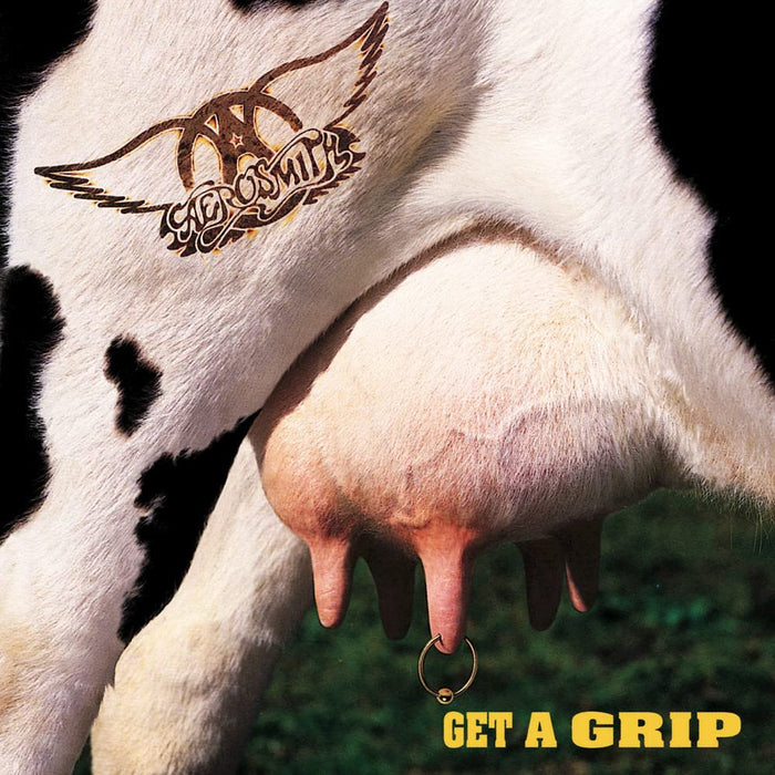 Aerosmith - Get A Grip (2 Lp);