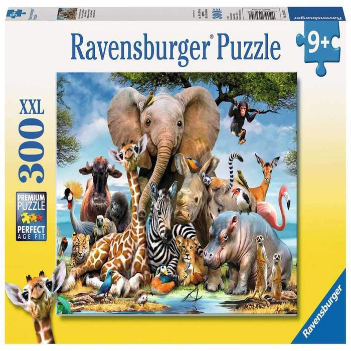 https://m.media-amazon.com/images/I/711a3gGCW0L.jpg