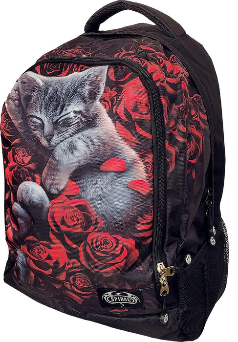 https://m.media-amazon.com/images/I/712C5US8XAL.jpg