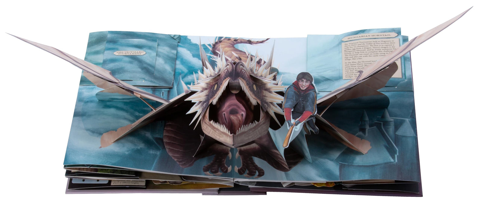 https://m.media-amazon.com/images/I/712Mh+86VYL.jpg