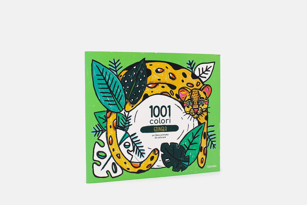 https://m.media-amazon.com/images/I/712UEWTaT0L.jpg