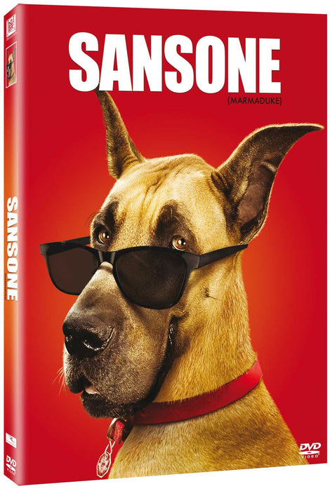 https://m.media-amazon.com/images/I/712mm1hngxL.jpg