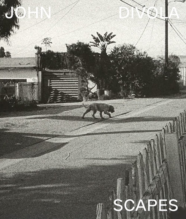 https://m.media-amazon.com/images/I/713i0ZhECEL.jpg