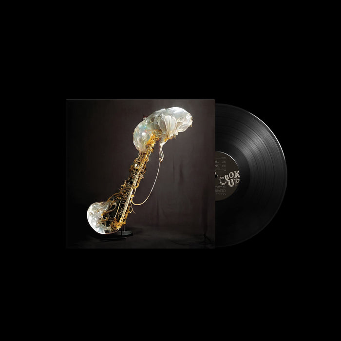 Sam Gendel - Cookup;