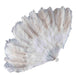 https://m.media-amazon.com/images/I/715La97sN5L.jpg