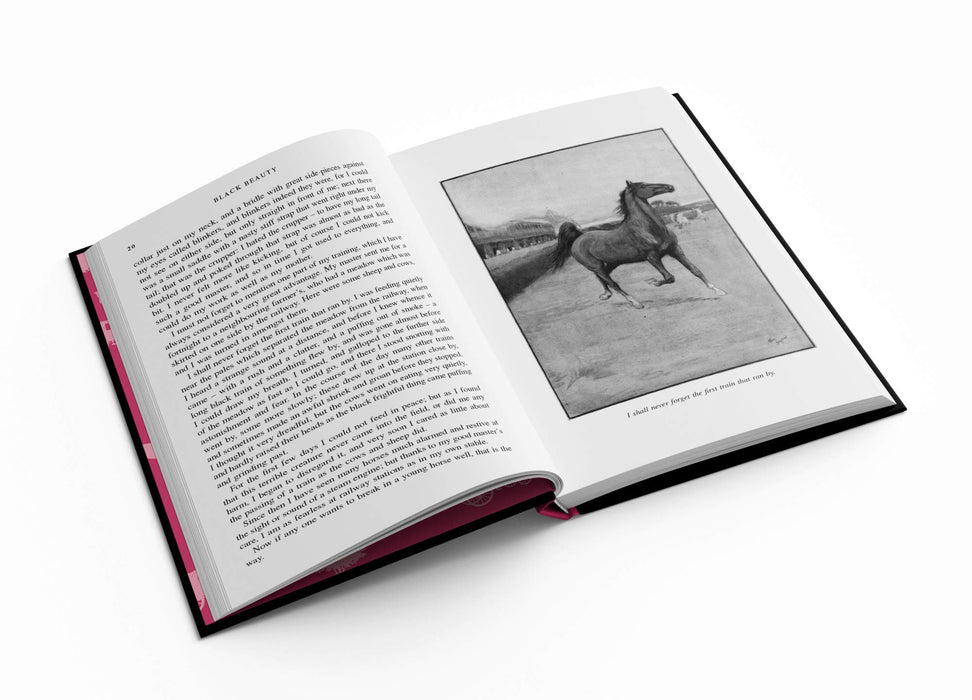 https://m.media-amazon.com/images/I/715TnOXNNIL.jpg
