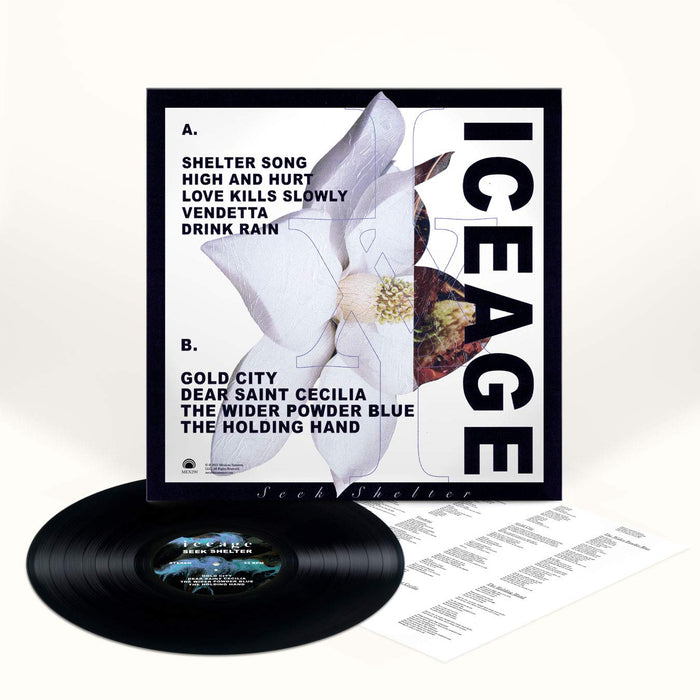 Iceage - Seek Shelter;