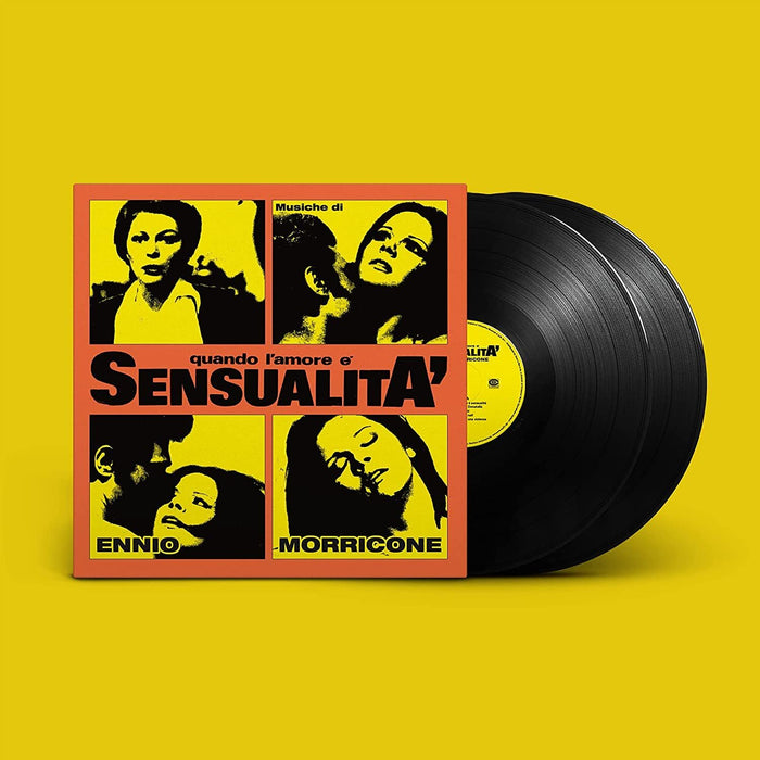 https://m.media-amazon.com/images/I/716anUXab5L.jpg